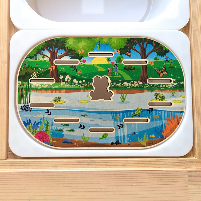 Life Cycle & Camping Board (Bundle: Board, Accessories & Digital Printables)