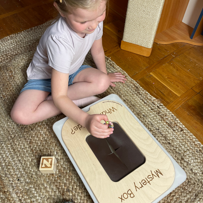 Mystery Box Learning Board™