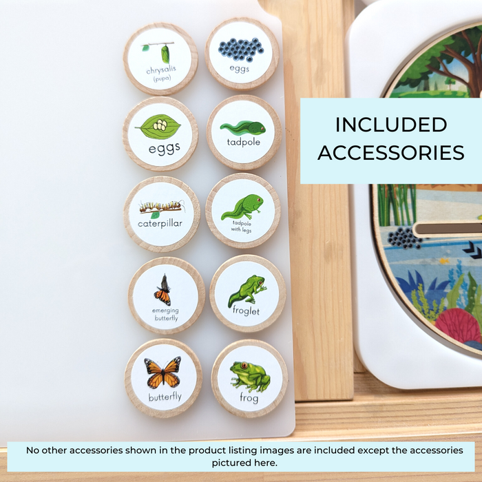 Life Cycle & Camping Board (Bundle: Board, Accessories & Digital Printables)