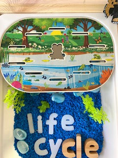 Life Cycle & Camping Board (Bundle: Board, Accessories & Digital Printables)