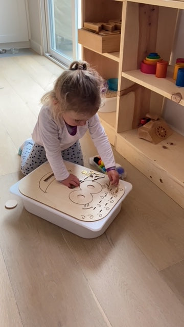 Trofast-Sized Bin (LARGE)