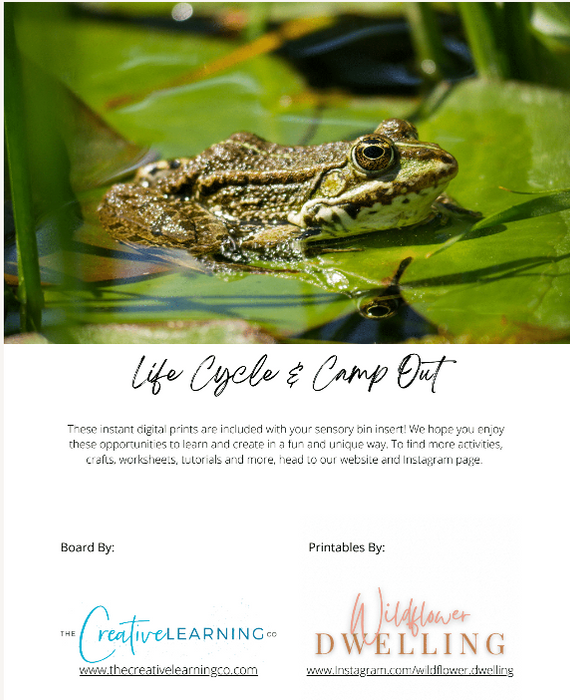 Frog/Butterfly Life Cycle & Camp Out (Digital Printable Unit Only - No Board)